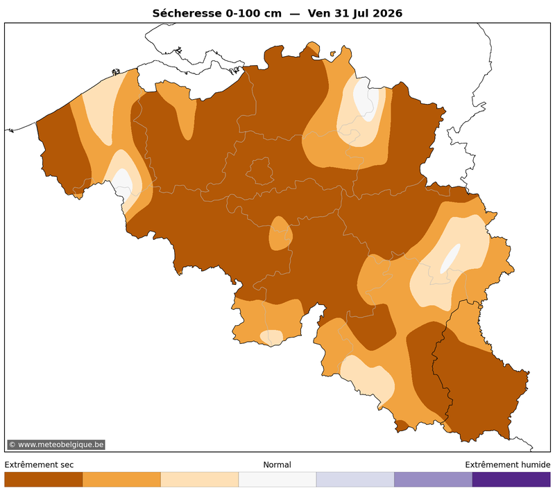 Ven 31/07/2026