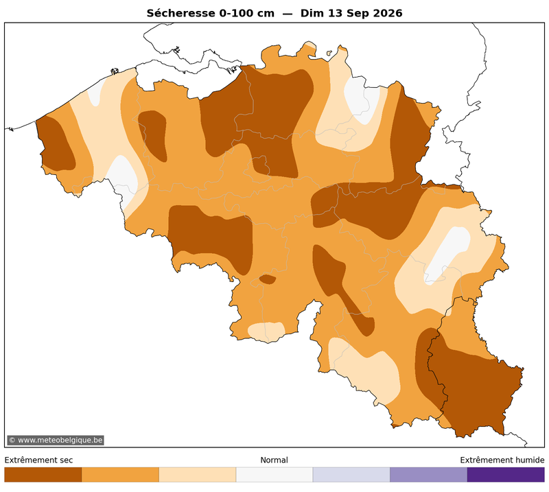 Dim 13/09/2026
