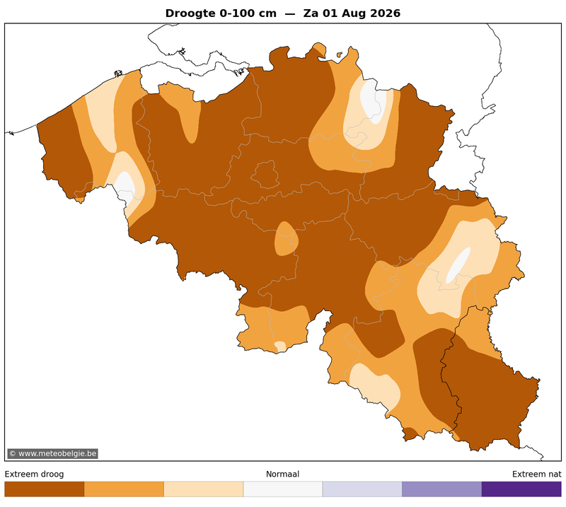 Zat 01/08/2026