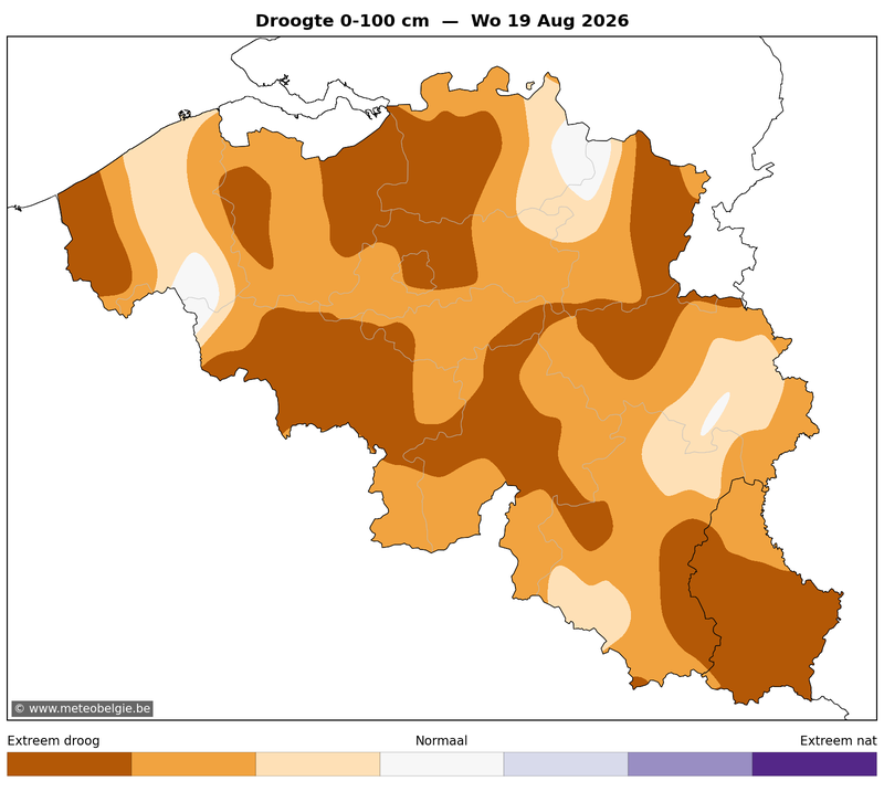 Woe 19/08/2026