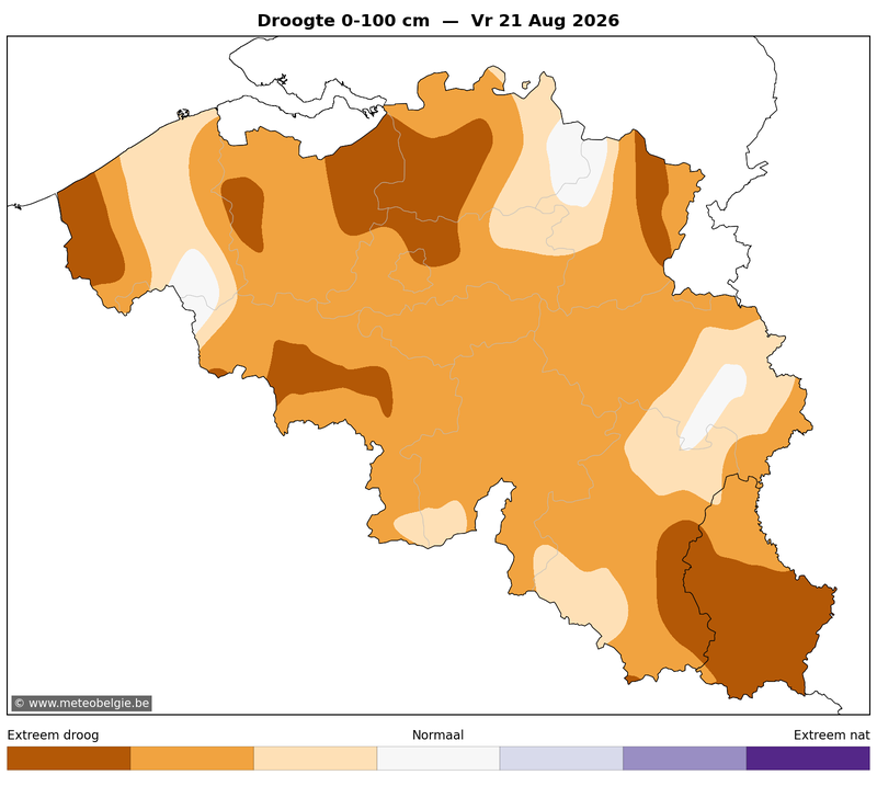 Vri 21/08/2026