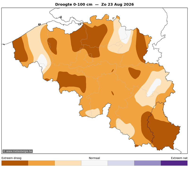 Zon 23/08/2026