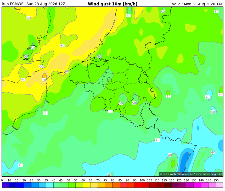 Lun 31/08/2026 14h