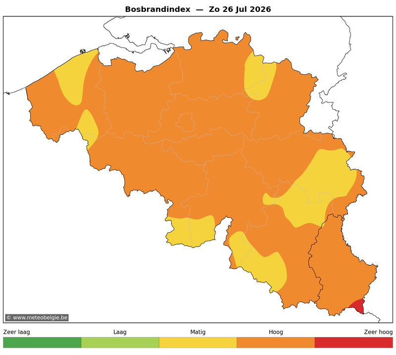 Zon 26/07/2026