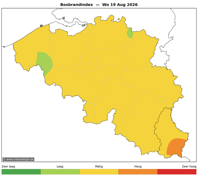 Woe 19/08/2026