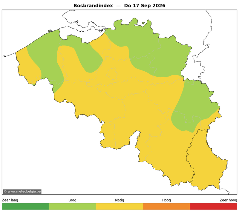 Don 17/09/2026