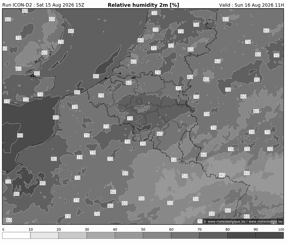 Zon 16/08/2026 08u