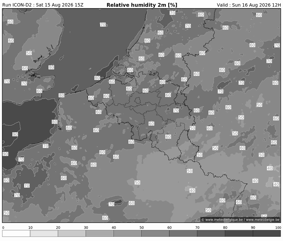 Zon 16/08/2026 09u