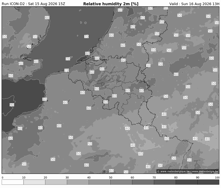 Zon 16/08/2026 10u