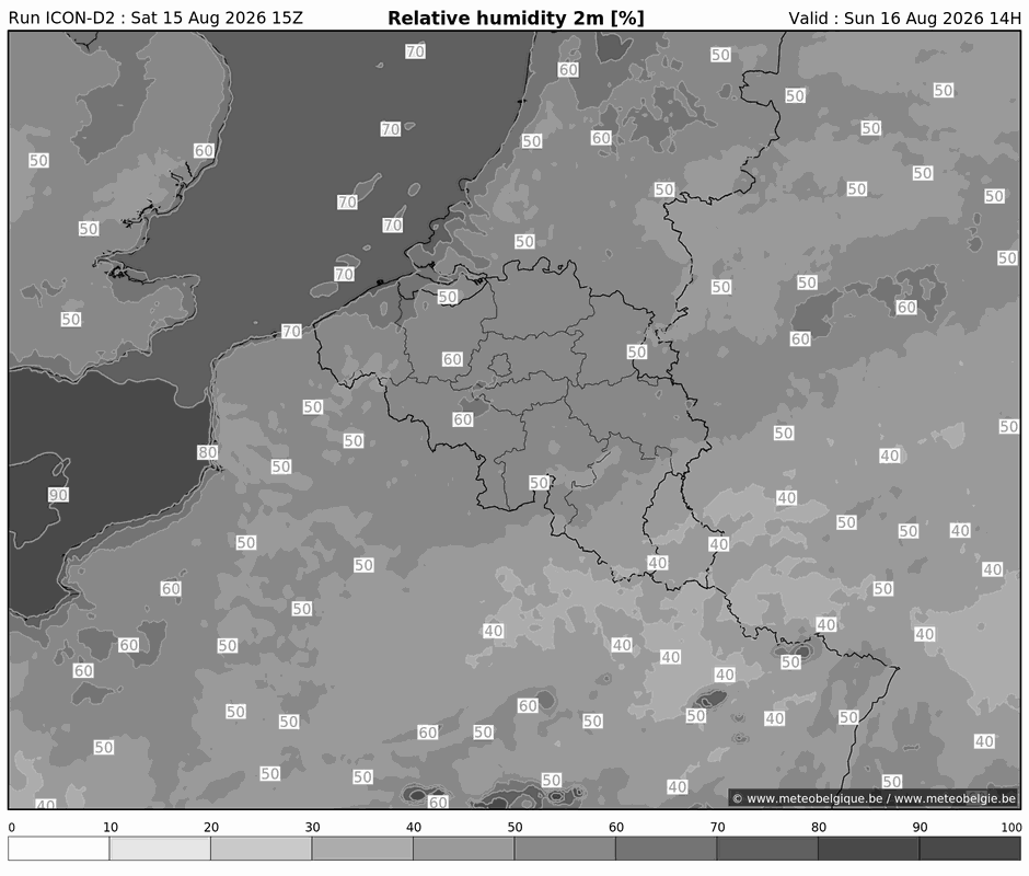 Zon 16/08/2026 11u